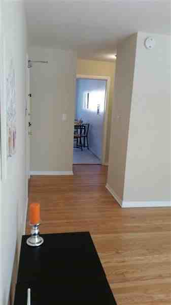 705 Dodge Ave - Photo 3 of 11