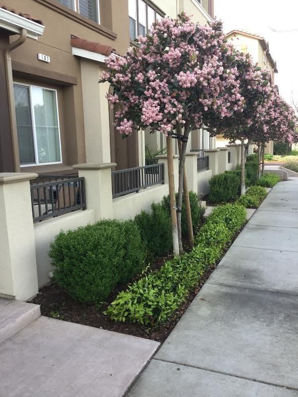 107 Burbank St - Photo 2 of 20