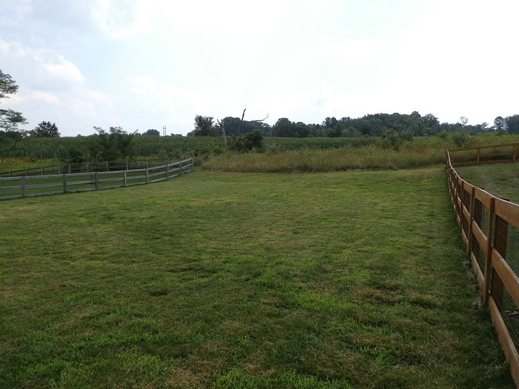 631 Makayla Ct - Photo 2 of 12