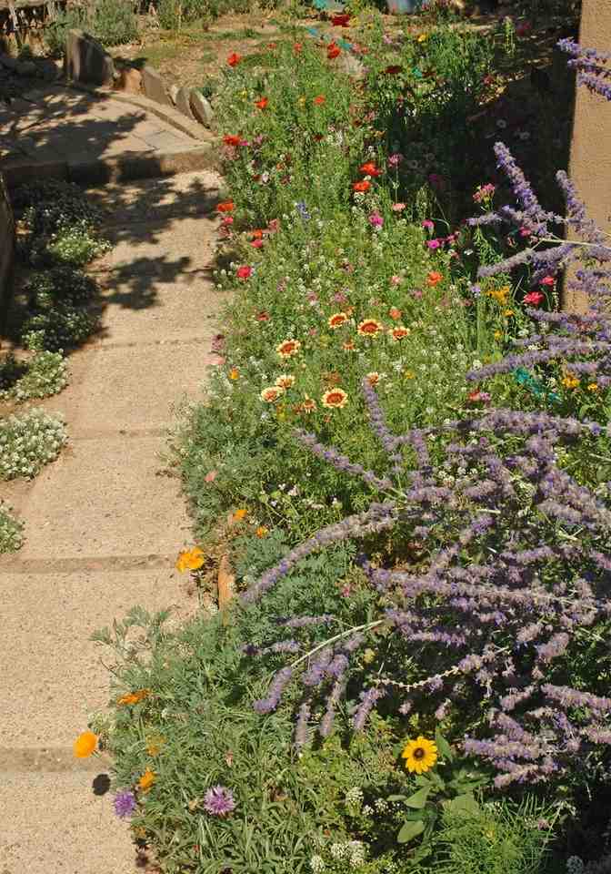 336 Calle Loma Norte - Photo 3 of 12