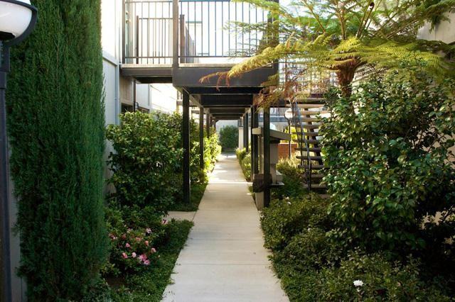 Olive Tree Apartments - Photo 2 of 15