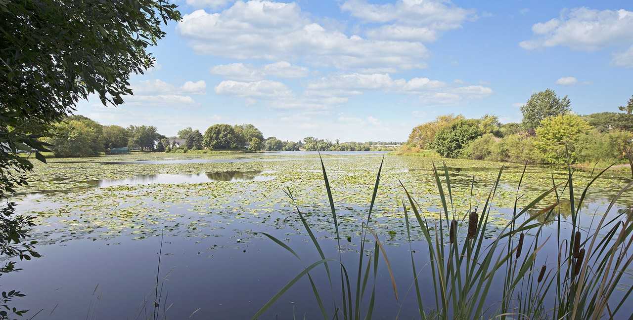 Beach South Apartments - Photo 6 of 14