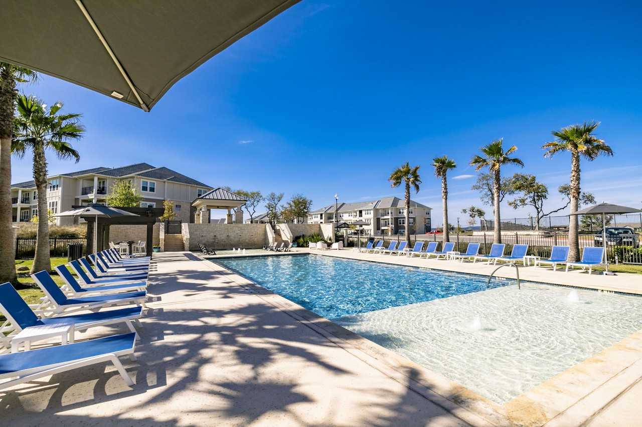 Avocet - Photo 3 of 28