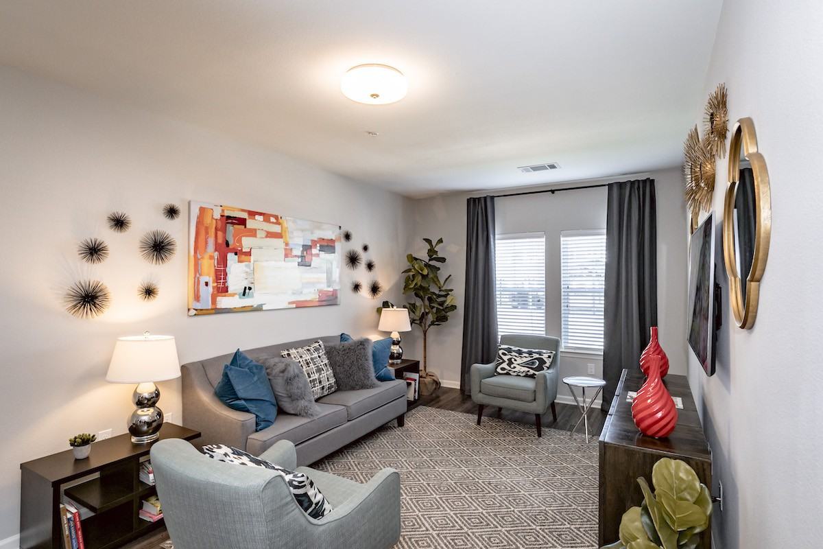 Avocet - Photo 7 of 28