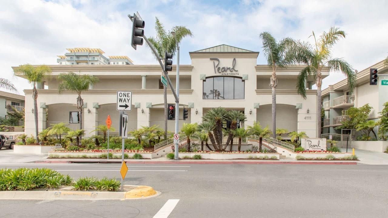 Pearl - Photo 3 of 20