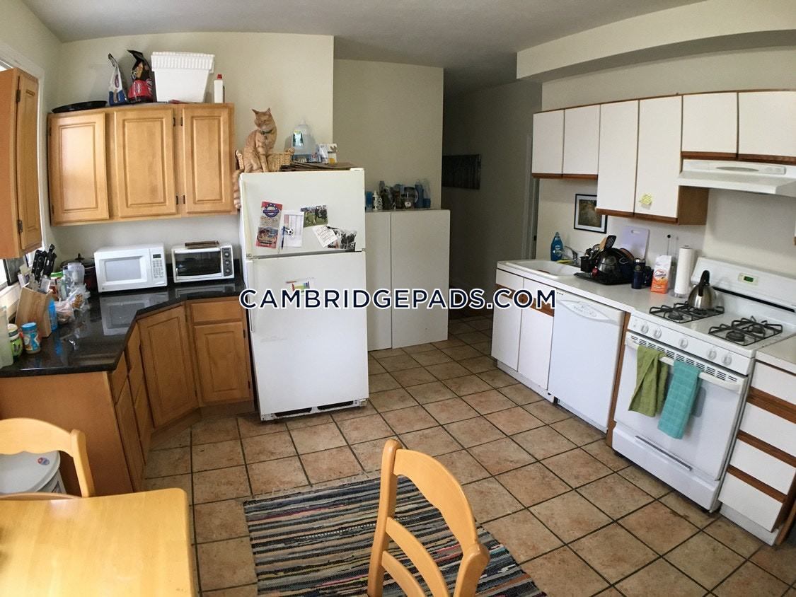 115 Hampshire Street #1M