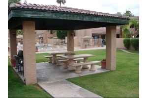 Shorebird - Photo 2 of 18