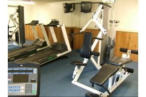 Shorebird - Photo 3 of 18