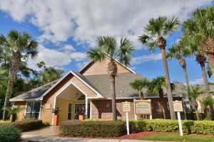 Twelve Oaks at Windemere - Photo 3 of 30