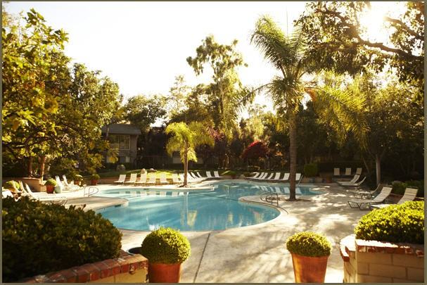 The Aspens South Coast - Photo 4 of 20