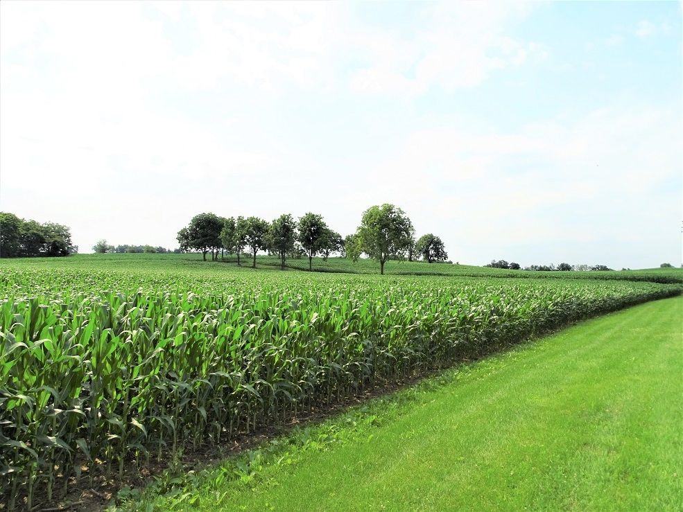 130 Reistville Rd - Photo 2 of 16