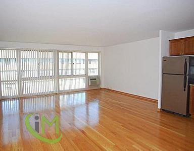 2935 N Sheridan Rd #0217