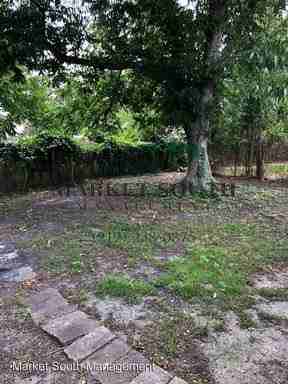 810 Carter Street - Photo 2 of 14