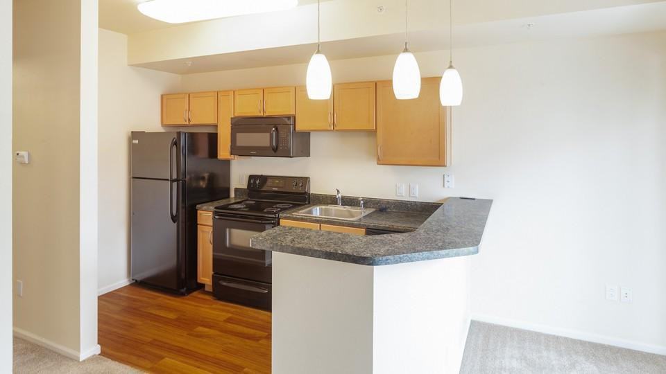 The Social Stadium Walk - Photo 2 of 22