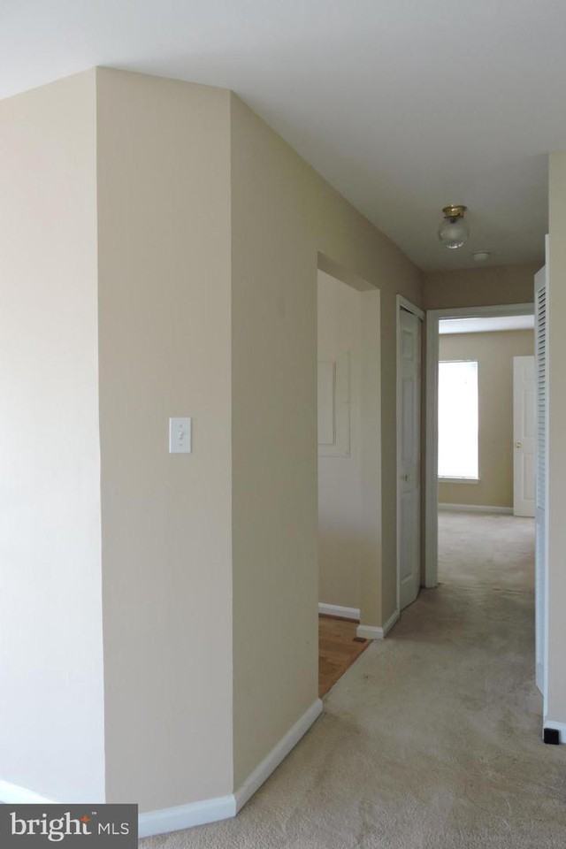 20590 Cornstalk Terrace #202 - Photo 2 of 13