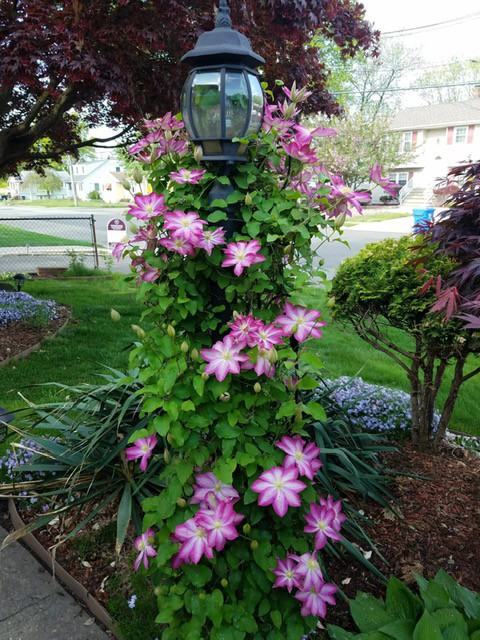 89 Sewaren Ave - Photo 3 of 19