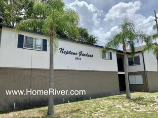 4325 Aegean Dr Tampa Fl 33611 1 Bedroom House For Rent For