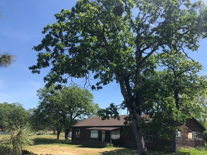 3941 Sams Valley Rd - Photo 2 of 18