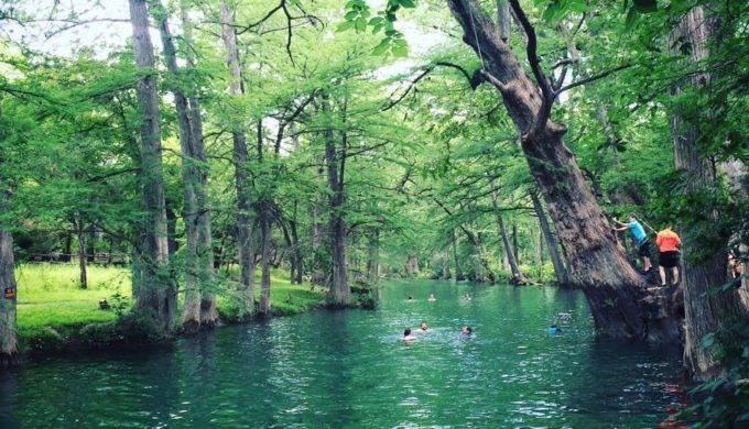 Woodcreek Apartment Homes - Photo 2 of 41