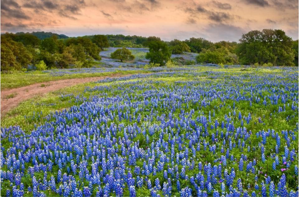 Woodcreek Apartment Homes - Photo 3 of 41