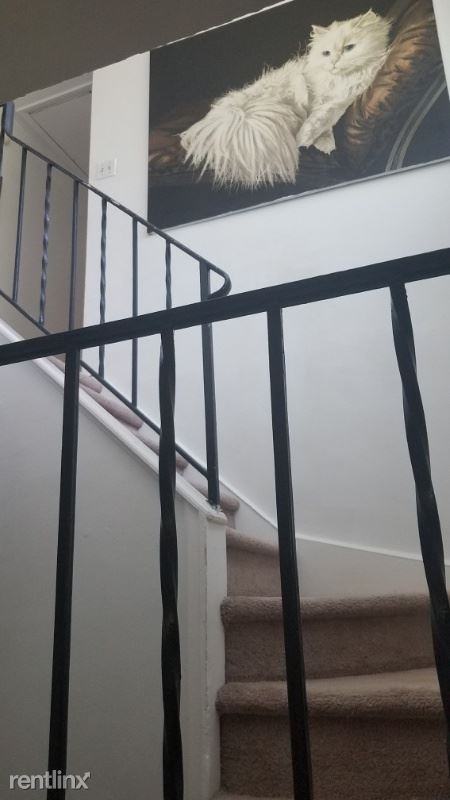 8800 Discovery Blvd - Photo 2 of 8