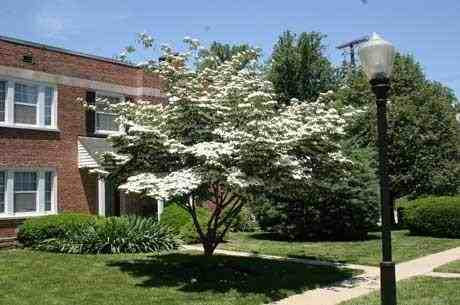 Falkland Chase - Photo 2 of 16