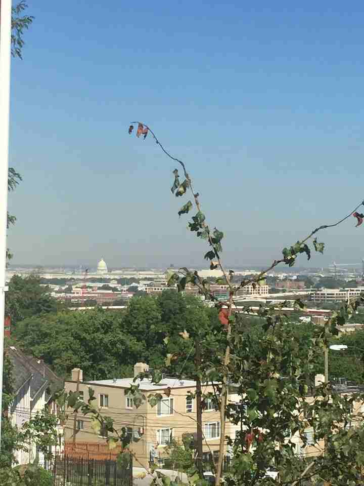 2347 Green St Se - Photo 2 of 2