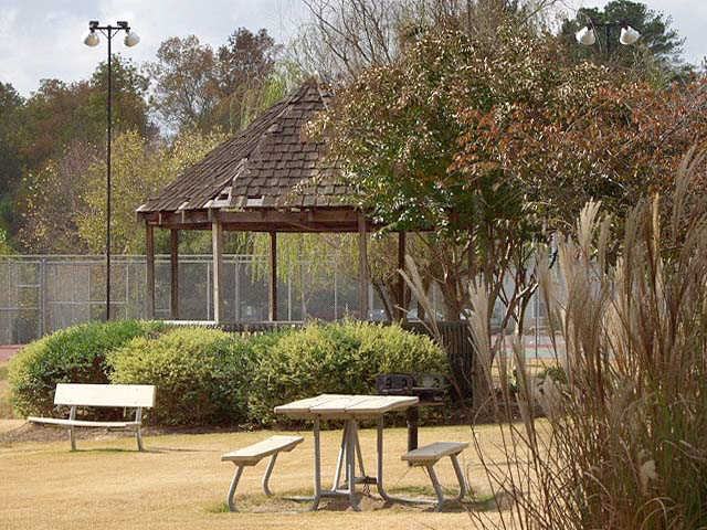 Lake of the Woods - Photo 3 of 26