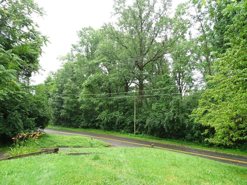 280 Horseshoe Trail Rd - Photo 2 of 27