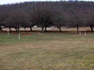 136 Seiwell Lane - Photo 2 of 5