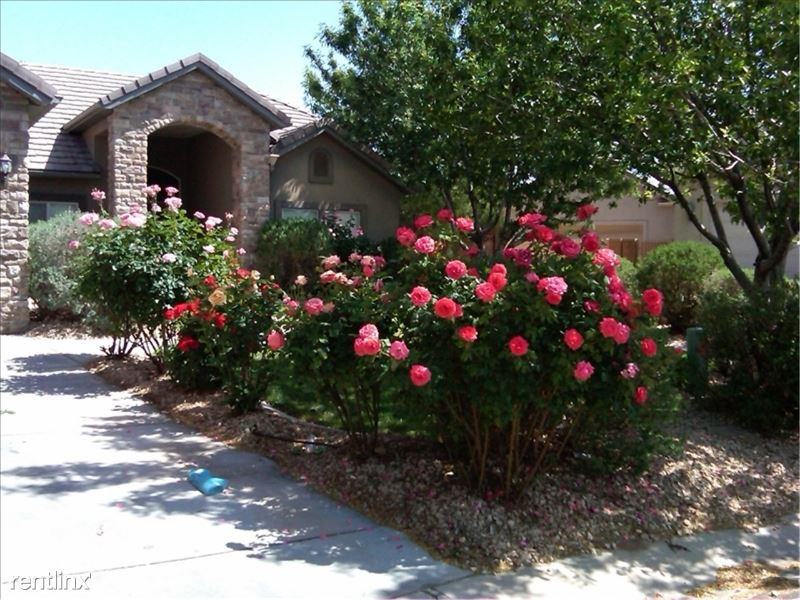 2209 Colina Vista Dr - Photo 2 of 11