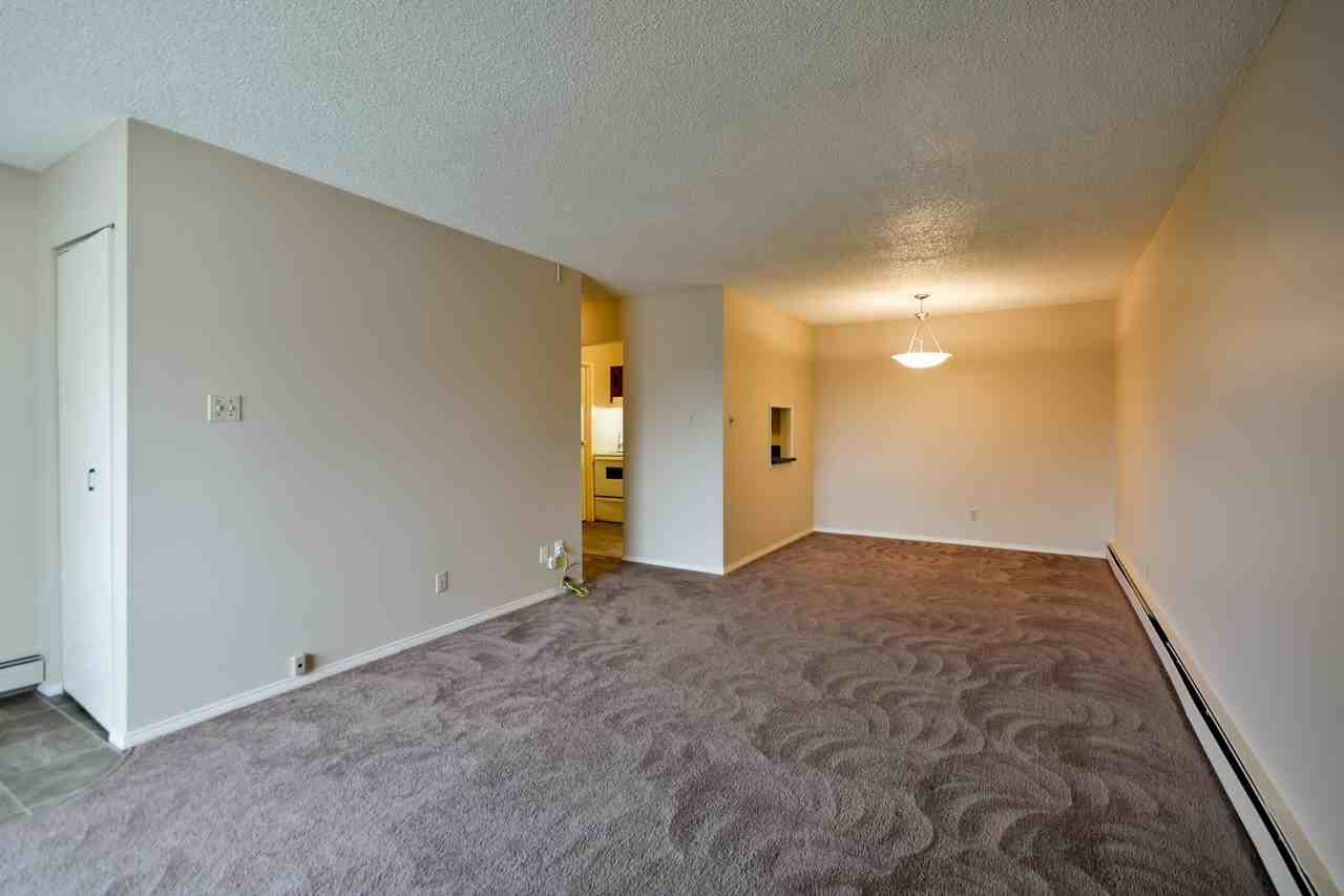 41 Munroe Pl ##22 - Photo 3 of 9