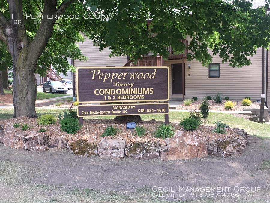 11 Pepperwood Ct - Photo 3 of 13