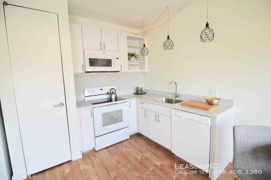 1725 Walnut St - Photo 2 of 48