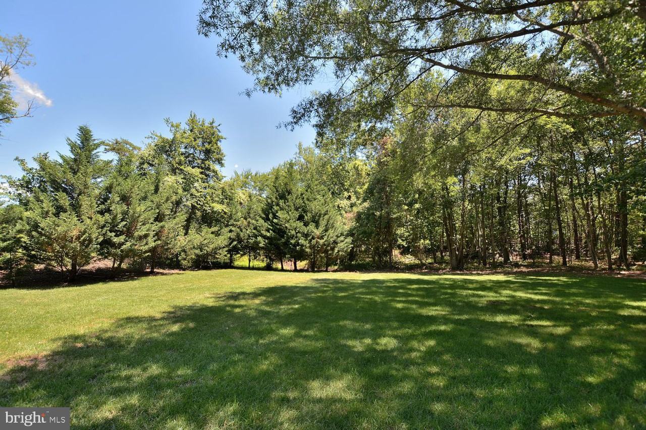 7608 Old Ox Rd - Photo 3 of 34