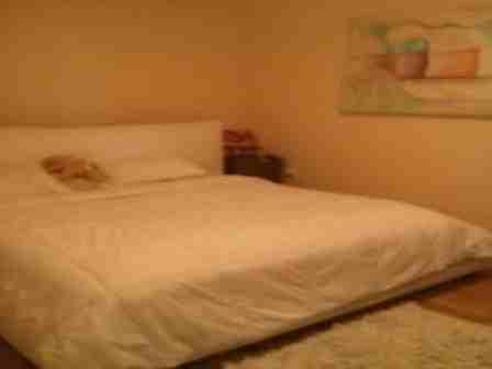 Cedar St - Photo 3 of 6