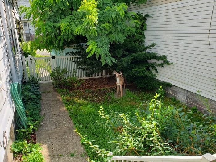 710 Hickory St - Photo 2 of 11