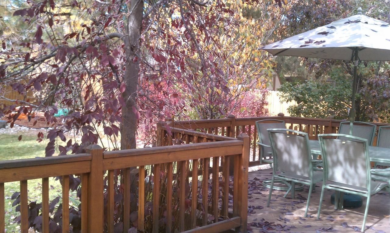 3361 S Fairplay St - Photo 2 of 21