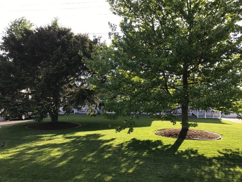 6469 Wells Dr - Photo 2 of 23