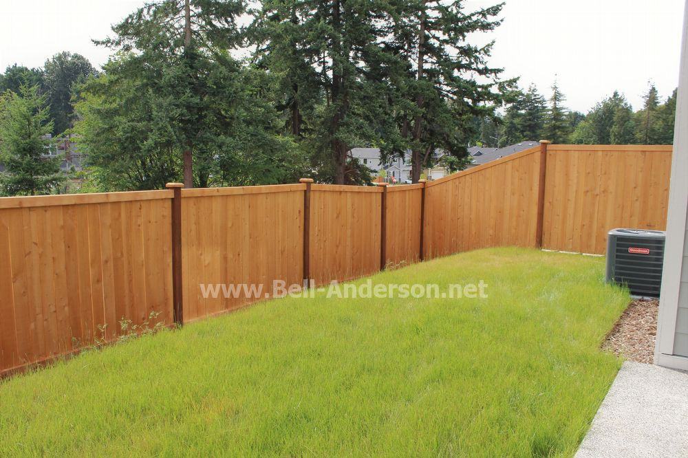 19602 11th Ave S - Photo 2 of 14