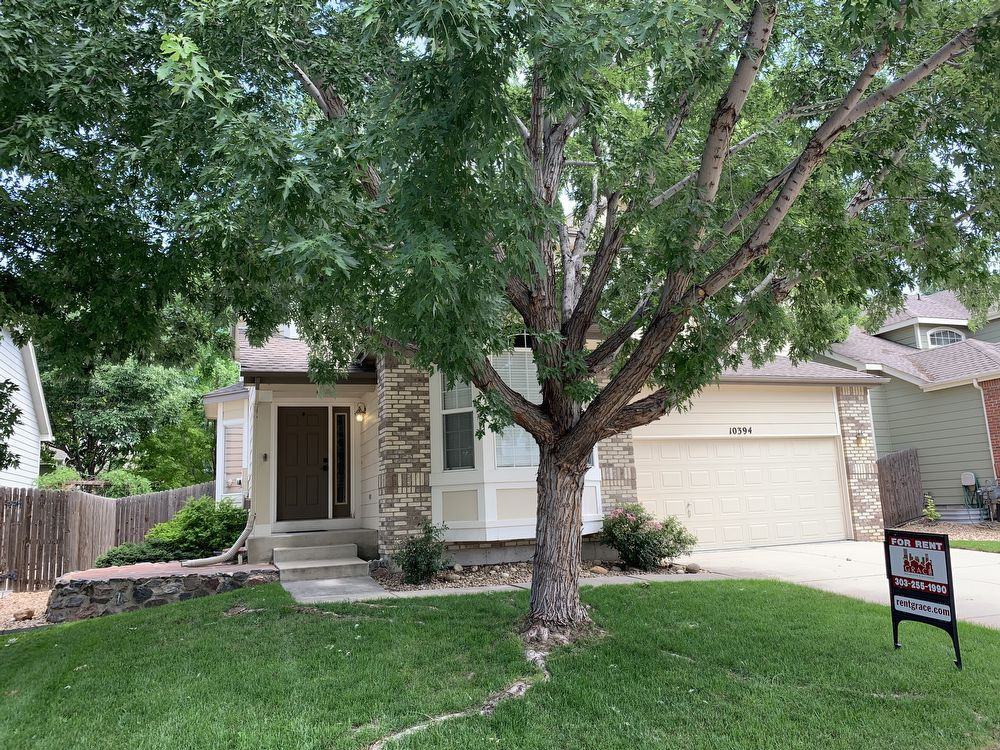 10394 Coal Ridge St - Photo 3 of 8