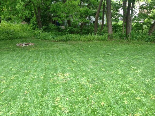 4360 Channel Rd - Photo 3 of 14