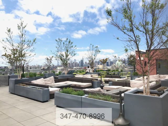 Gym, Elevator, Roof, Yoga Room #4