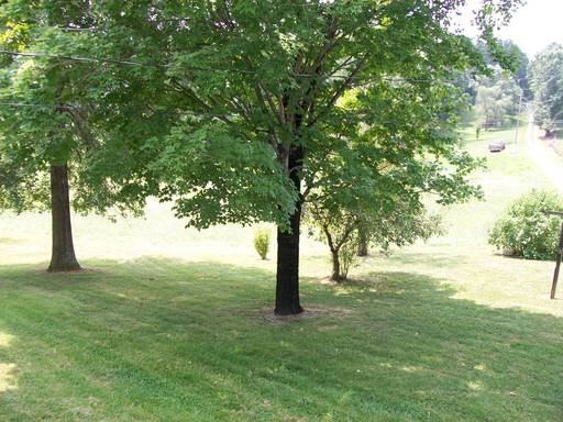 45 Browns Hill Loop - Photo 3 of 21