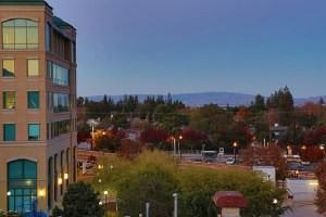 Loft House - Photo 3 of 19