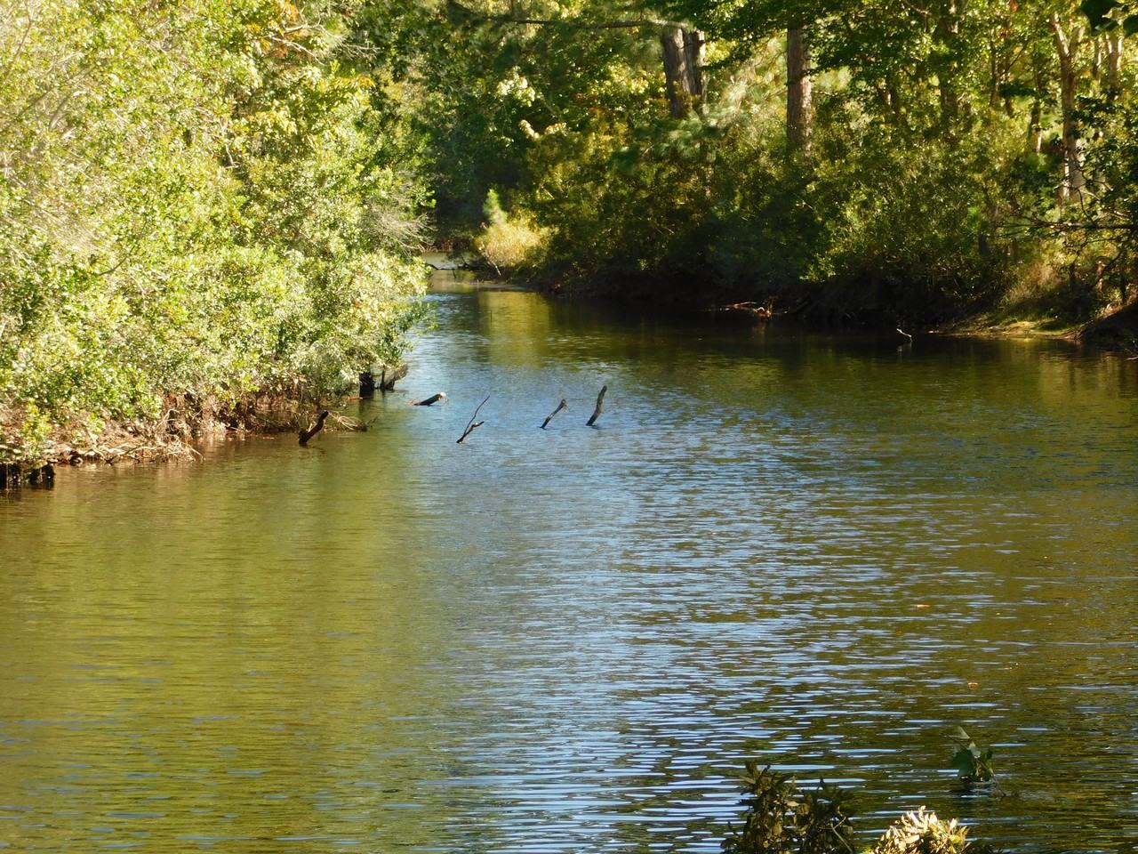 20 Arva Ct - Photo 2 of 17