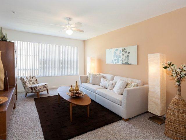 Valencia Forest - Photo 2 of 14