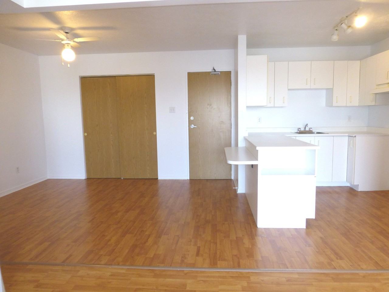 1205 Rue Papineau - Photo 2 of 8