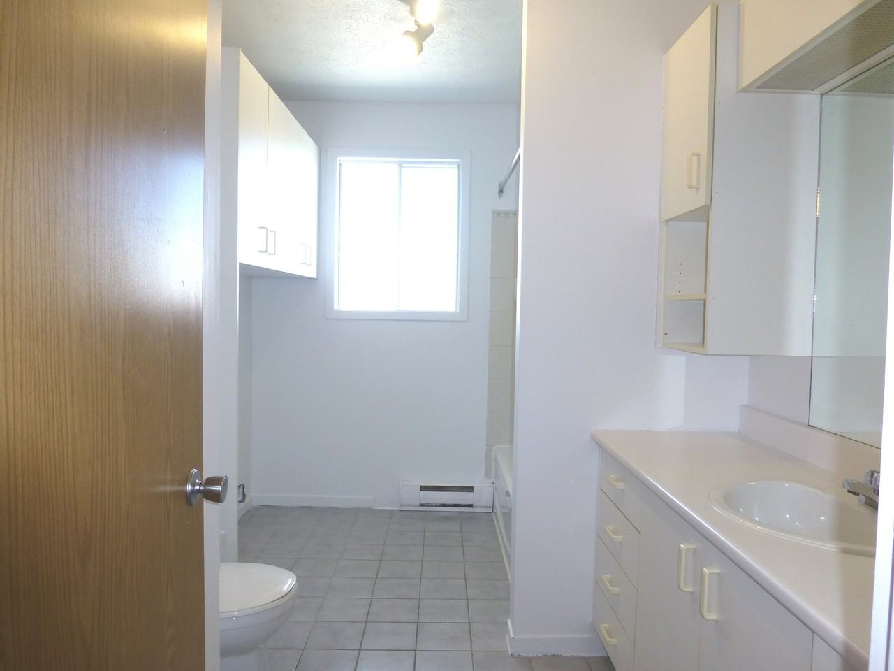 1205 Rue Papineau - Photo 3 of 8