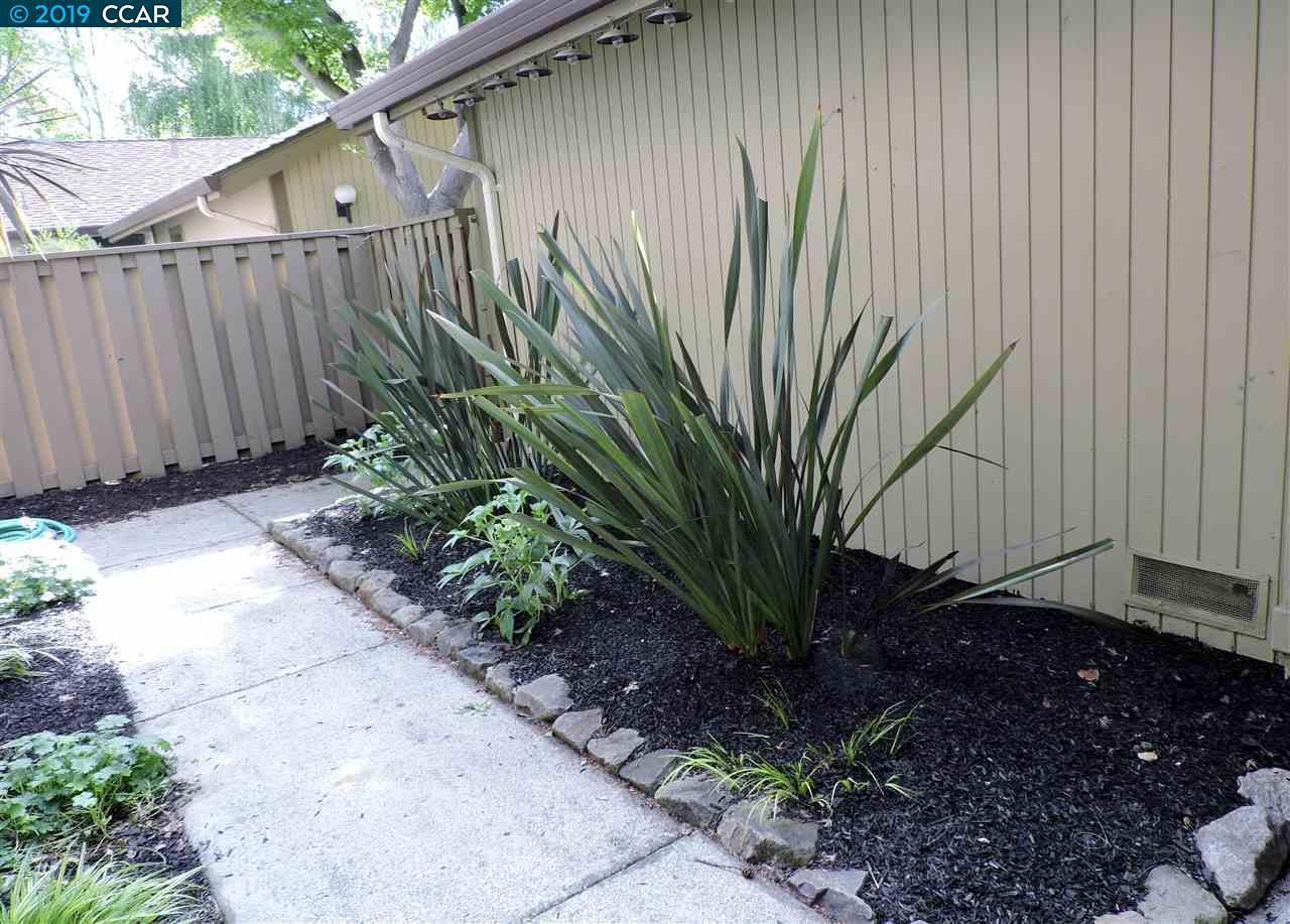 1596 Candelero Dr - Photo 3 of 29